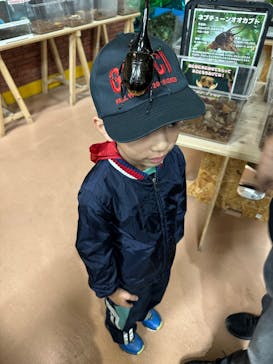 いきもの探検隊上尾に投稿された画像（2025/10/22）