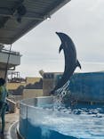 新江ノ島水族館に投稿された画像（2025/10/22）