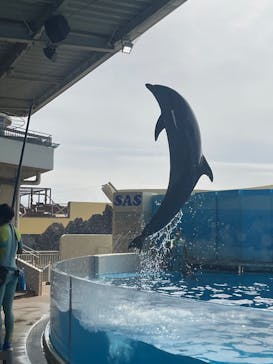 新江ノ島水族館に投稿された画像（2025/10/22）