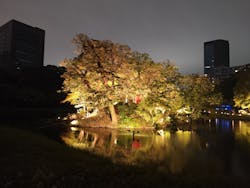 夜間特別開園 秋の夜長の小石川後楽園2025に投稿された画像（2025/10/22）