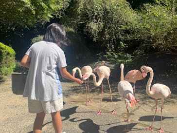 長崎バイオパークに投稿された画像（2025/10/22）