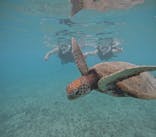 サマーリゾート宮古島に投稿された画像（2025/10/22）