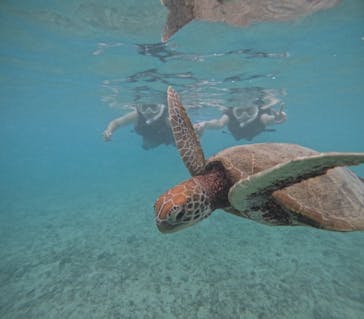 サマーリゾート宮古島に投稿された画像（2025/10/22）