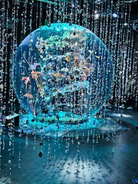 AQUARIUM × ART　atoa×felissimo chocolate museum（フェリシモ チョコレート ミュージアム）に投稿された画像（2025/10/22）