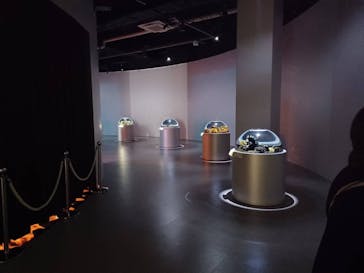 AQUARIUM × ART　atoa×felissimo chocolate museum（フェリシモ チョコレート ミュージアム）に投稿された画像（2025/10/22）