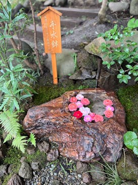 ACAO FORESTに投稿された画像（2025/10/22）