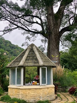 ACAO FORESTに投稿された画像（2025/10/22）