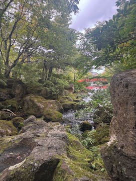 日本庭園　由志園に投稿された画像（2025/10/22）