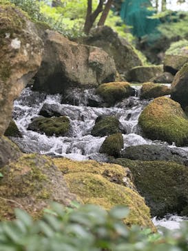日本庭園　由志園に投稿された画像（2025/10/22）