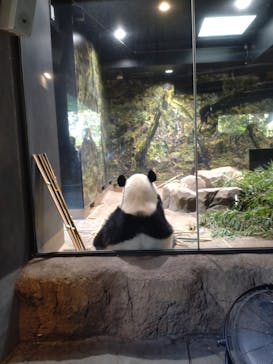 恩賜上野動物園に投稿された画像（2025/10/23）