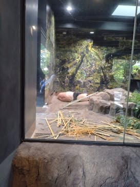 恩賜上野動物園に投稿された画像（2025/10/23）