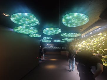 サンシャイン水族館に投稿された画像（2025/10/23）