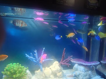 サンシャイン水族館に投稿された画像（2025/10/23）