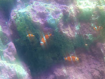 サンシャイン水族館に投稿された画像（2025/10/23）