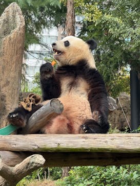恩賜上野動物園に投稿された画像（2025/10/23）