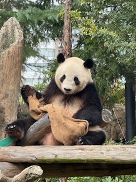 恩賜上野動物園に投稿された画像（2025/10/23）