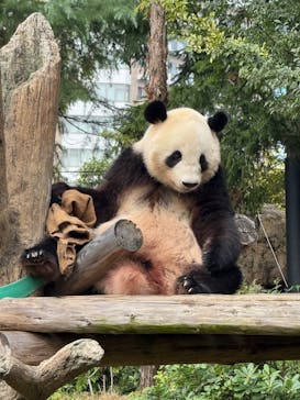 恩賜上野動物園に投稿された画像（2025/10/23）