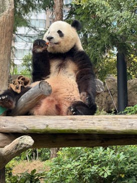 恩賜上野動物園に投稿された画像（2025/10/23）