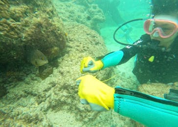 武藤潜水に投稿された画像（2025/10/23）