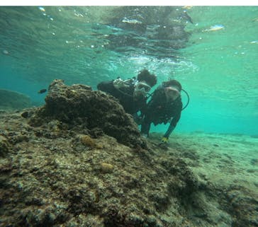 武藤潜水に投稿された画像（2025/10/23）