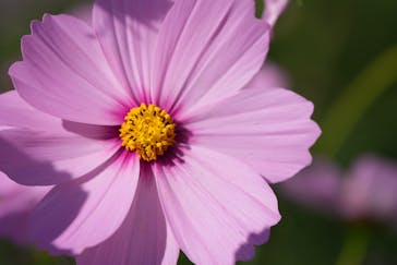 万博記念公園に投稿された画像（2025/10/23）