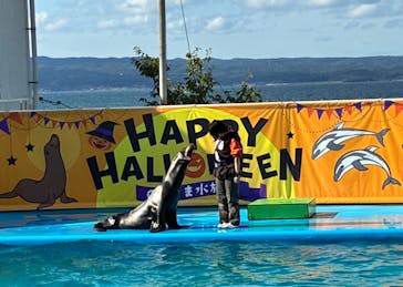 のとじま水族館に投稿された画像（2025/10/23）