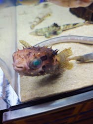 浜名湖体験学習施設ウォットに投稿された画像（2025/10/23）