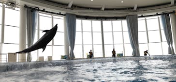 アクアワールド茨城県大洗水族館に投稿された画像（2025/10/23）