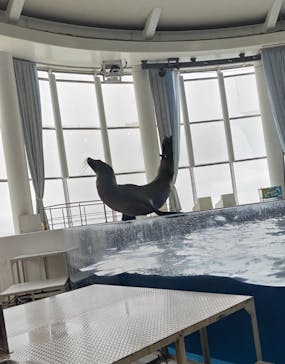 アクアワールド茨城県大洗水族館に投稿された画像（2025/10/23）