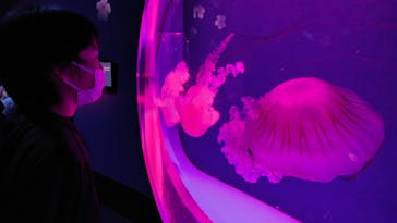 アクアワールド茨城県大洗水族館に投稿された画像（2025/10/23）