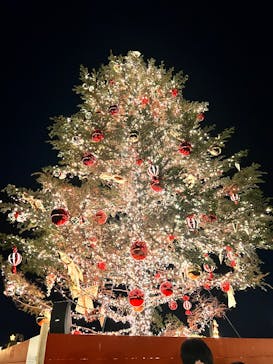 Christmas Market in 横浜赤レンガ倉庫 2025に投稿された画像（2025/10/23）