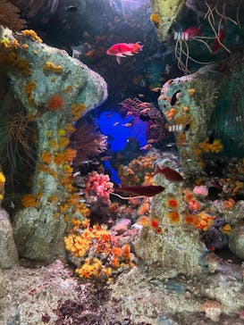 アソビュー！ポイントに投稿された画像（2025/10/23）