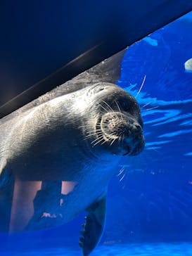 アソビュー！ポイントに投稿された画像（2025/10/23）