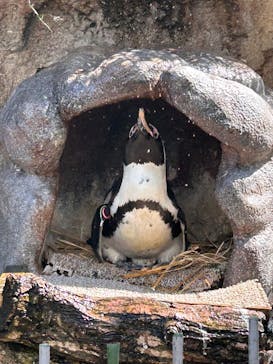 アソビュー！ポイントに投稿された画像（2025/10/23）