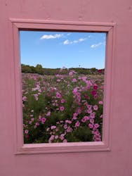 昭和記念公園セグウェイツアーに投稿された画像（2025/10/23）