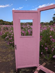 昭和記念公園セグウェイツアーに投稿された画像（2025/10/23）