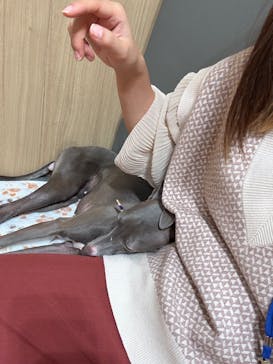 いぬカフェRio 浅草店に投稿された画像（2025/10/23）