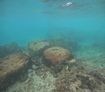 武藤潜水に投稿された画像（2025/10/23）