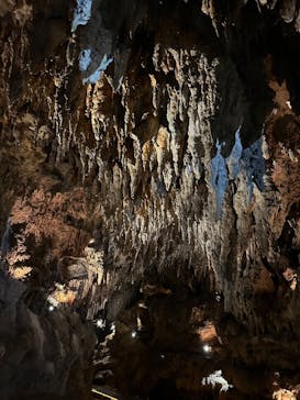 CAVE OKINAWAに投稿された画像（2025/10/23）