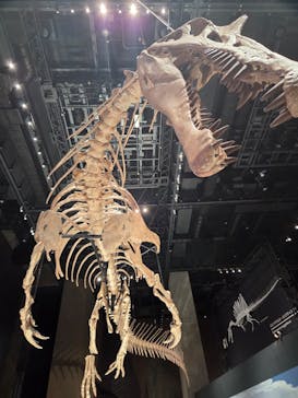 福井県立恐竜博物館に投稿された画像（2025/10/23）