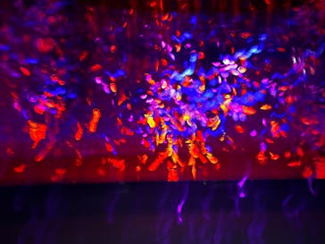 サンシャイン水族館に投稿された画像（2025/10/23）