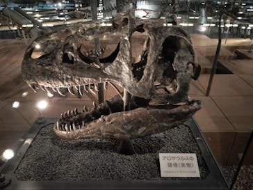 福井県立恐竜博物館に投稿された画像（2025/10/23）