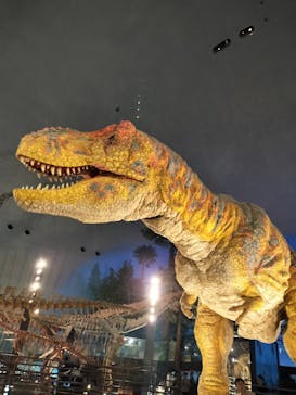 福井県立恐竜博物館に投稿された画像（2025/10/23）