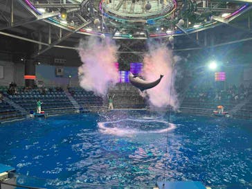 マクセル アクアパーク品川に投稿された画像（2025/10/23）