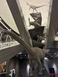 福井県立恐竜博物館に投稿された画像（2025/10/24）