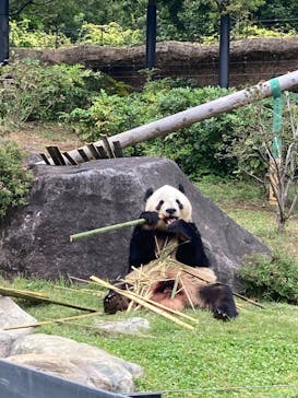 恩賜上野動物園に投稿された画像（2025/10/24）