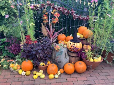 横浜イングリッシュガーデンに投稿された画像（2025/10/24）