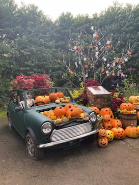 横浜イングリッシュガーデンに投稿された画像（2025/10/24）