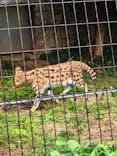 多摩動物公園に投稿された画像（2025/10/24）