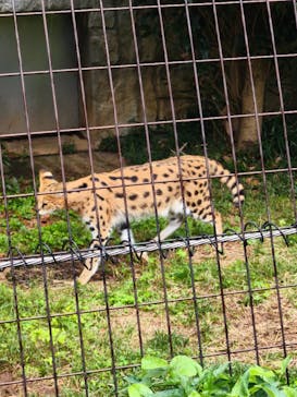 多摩動物公園に投稿された画像（2025/10/24）